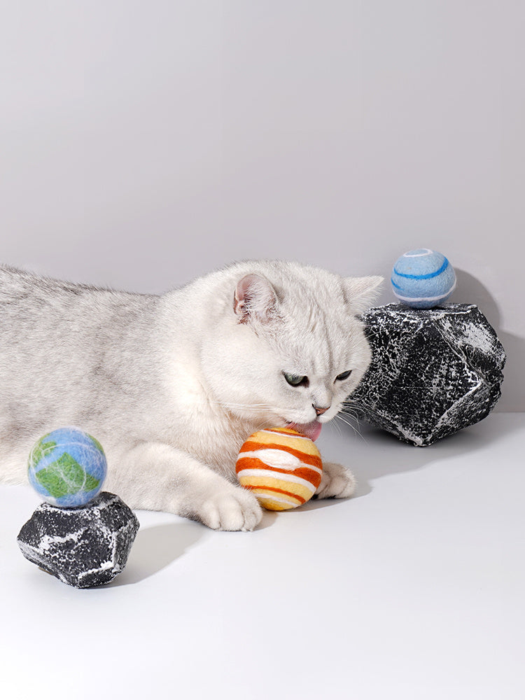 Bitten Catnip Ball Playset