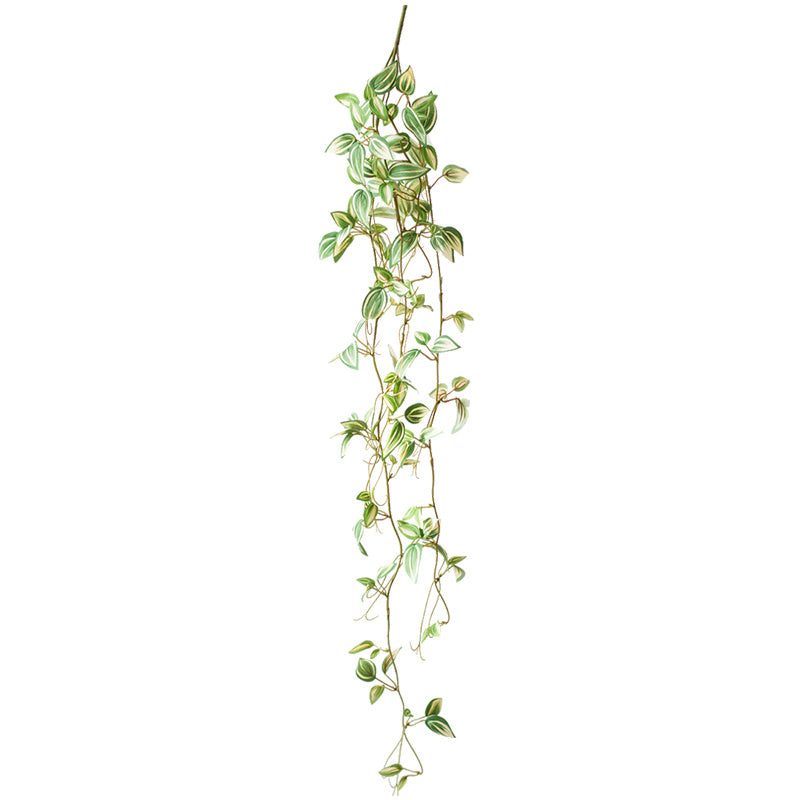 Chlorophytum Green Plant Simulation