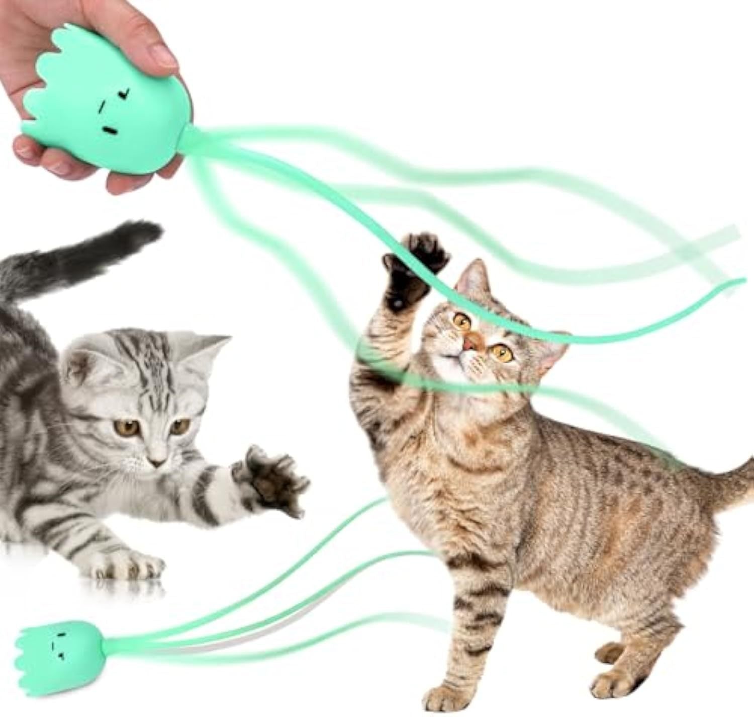 Interactive Fantasy Cat Toys