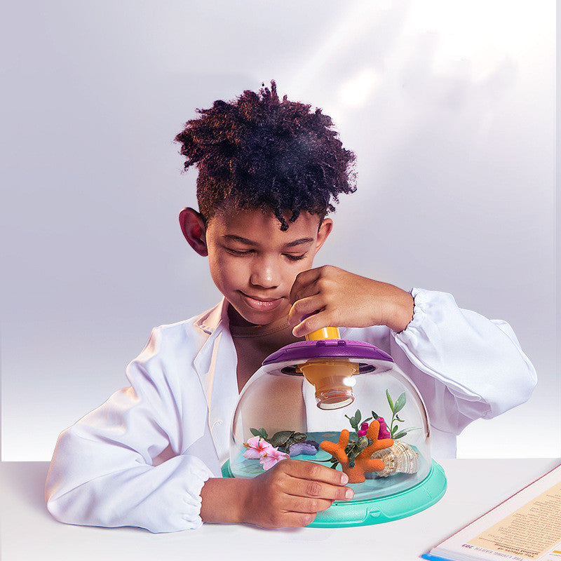 Scientific Outdoor Toys Plant