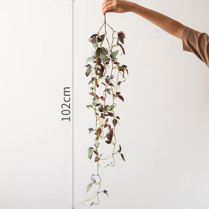 Chlorophytum Green Plant Simulation