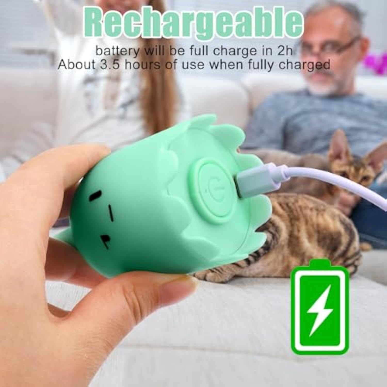 Interactive Fantasy Cat Toys