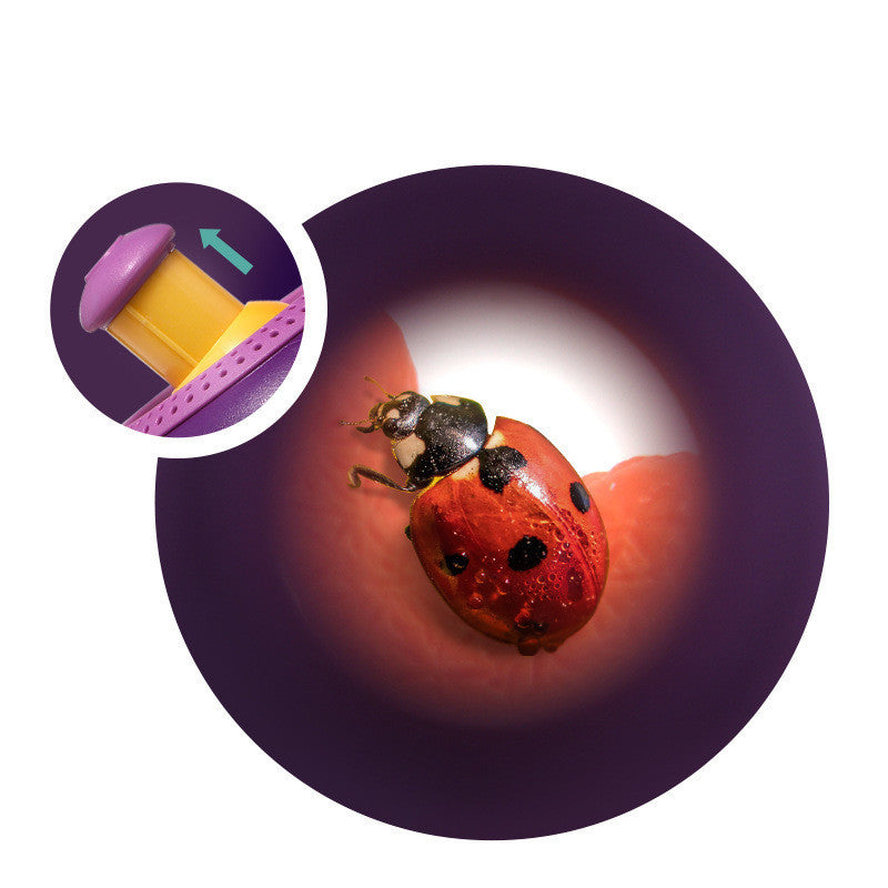 Scientific Outdoor Toys Plant