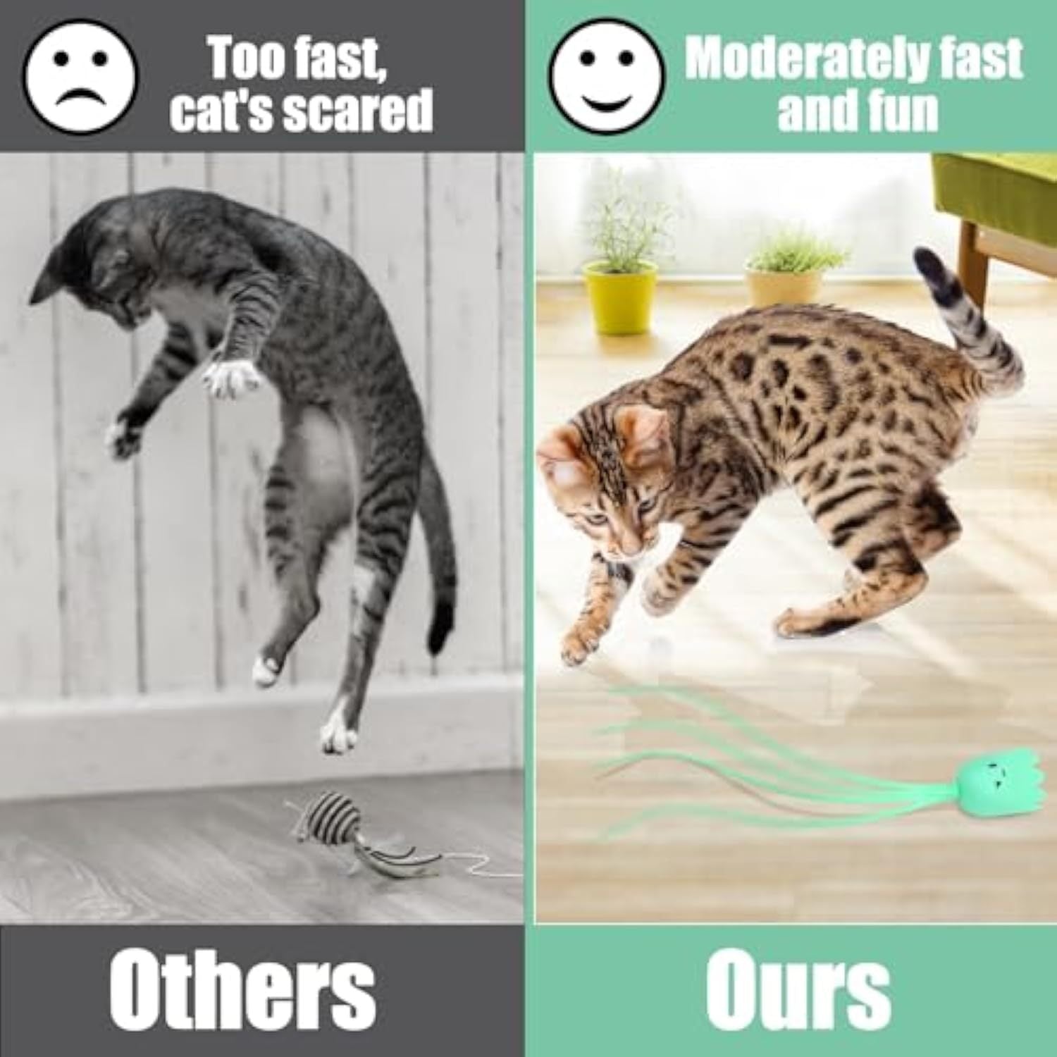 Interactive Fantasy Cat Toys