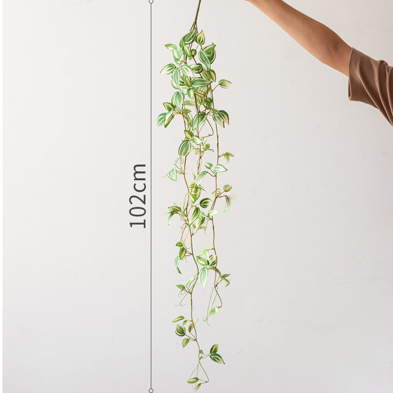 Chlorophytum Green Plant Simulation